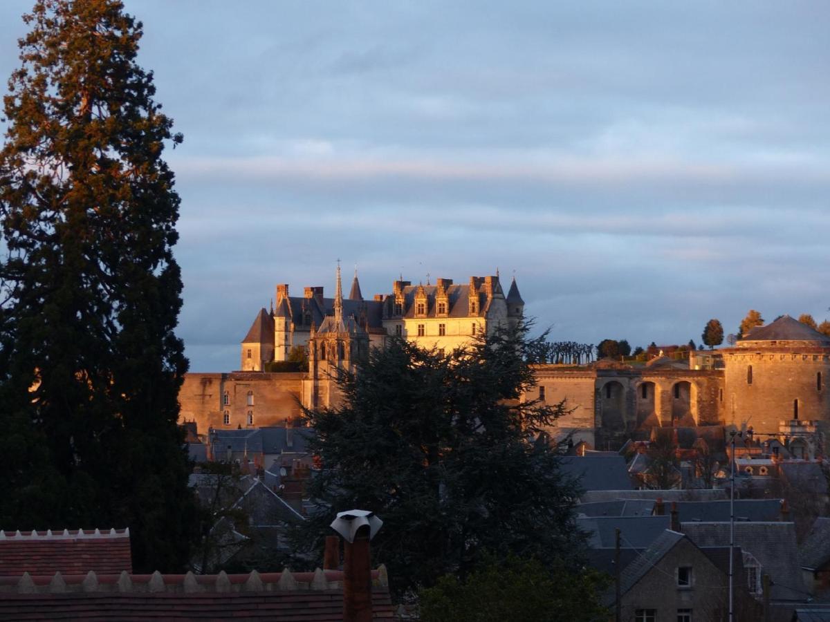 Maison Centre Ville Avec Parking, Jardin, Vue, Ac, Le Point De Vue De Leonard Amboise Exteriér fotografie